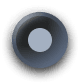 silver token